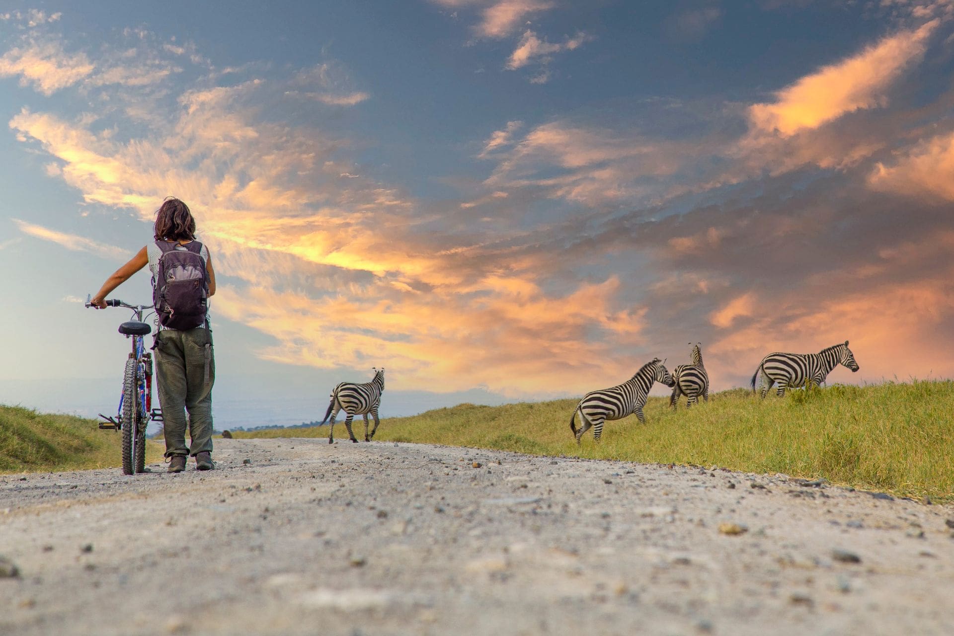 a-girl-on-a-bike-next-to-zebras-in-naivasha-in-hell