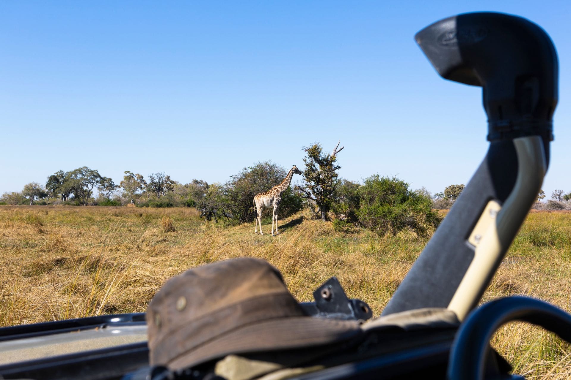 4Days3NightsNaivasha-1 giraffe-okavango-delta-botswana