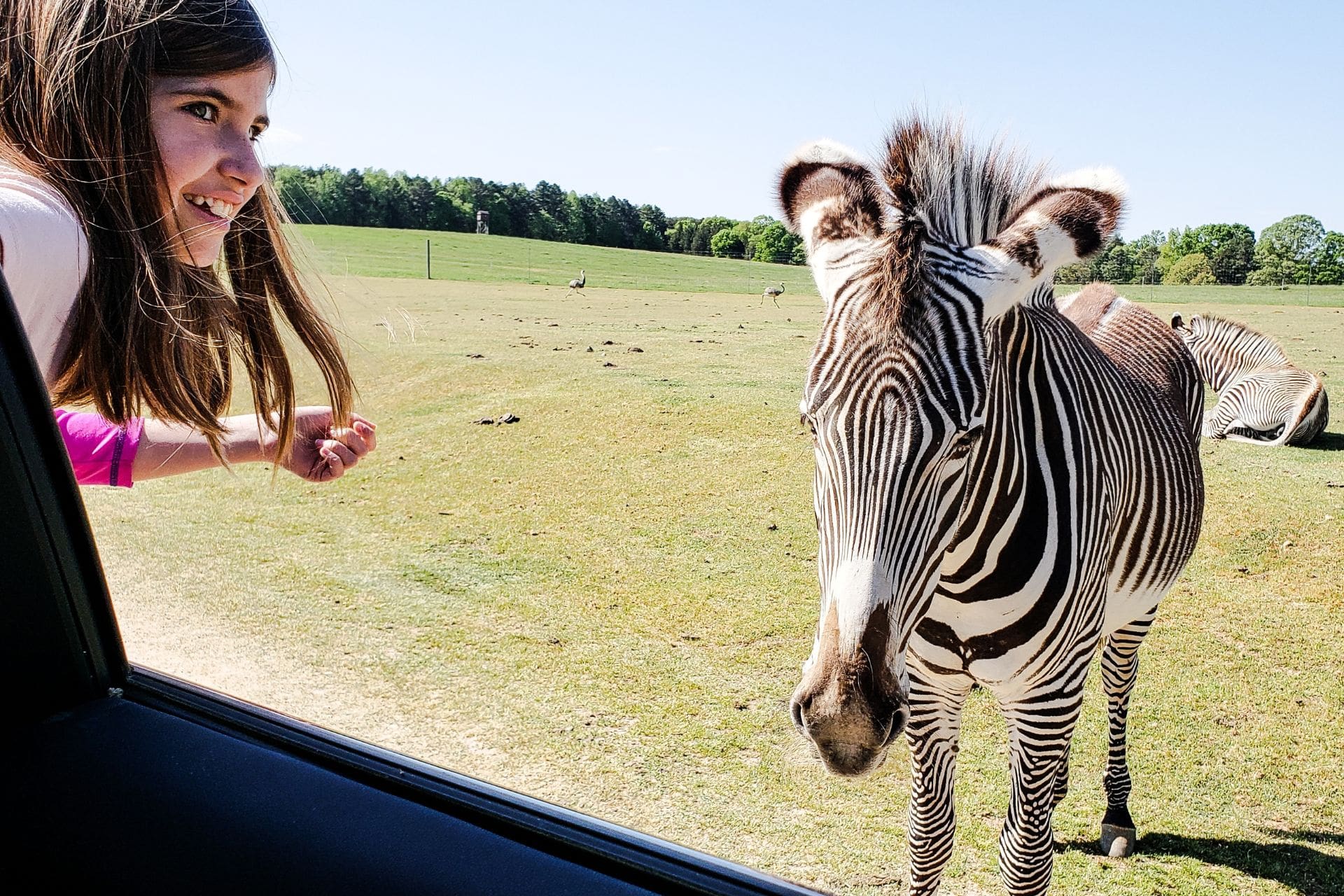 4Days3NightsNaivasha-3 generation-z-kid-hanging-out-car-window-in-a-drive