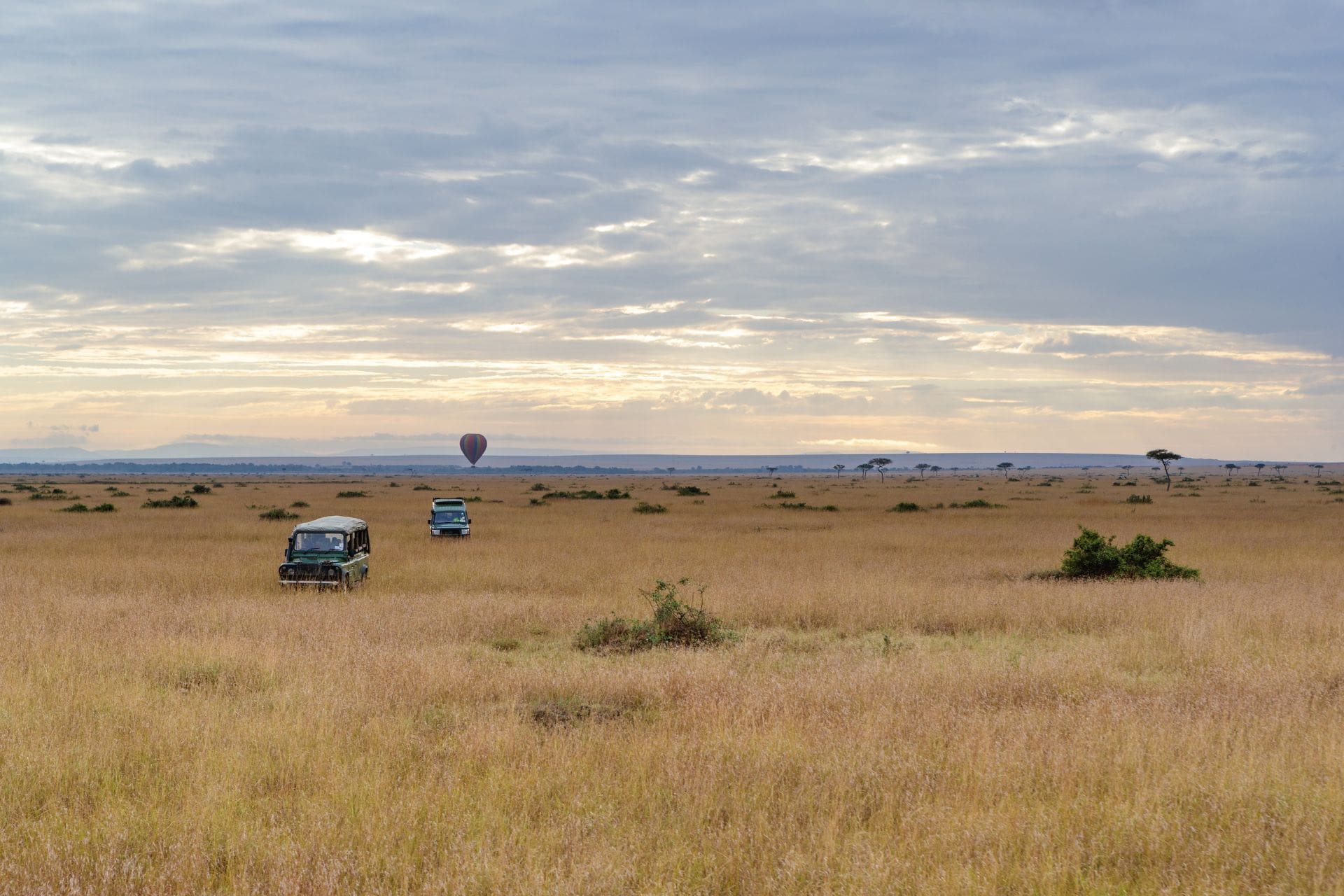 NightsLakeandBush-1 safari-vehicles-in-open-kenya-field