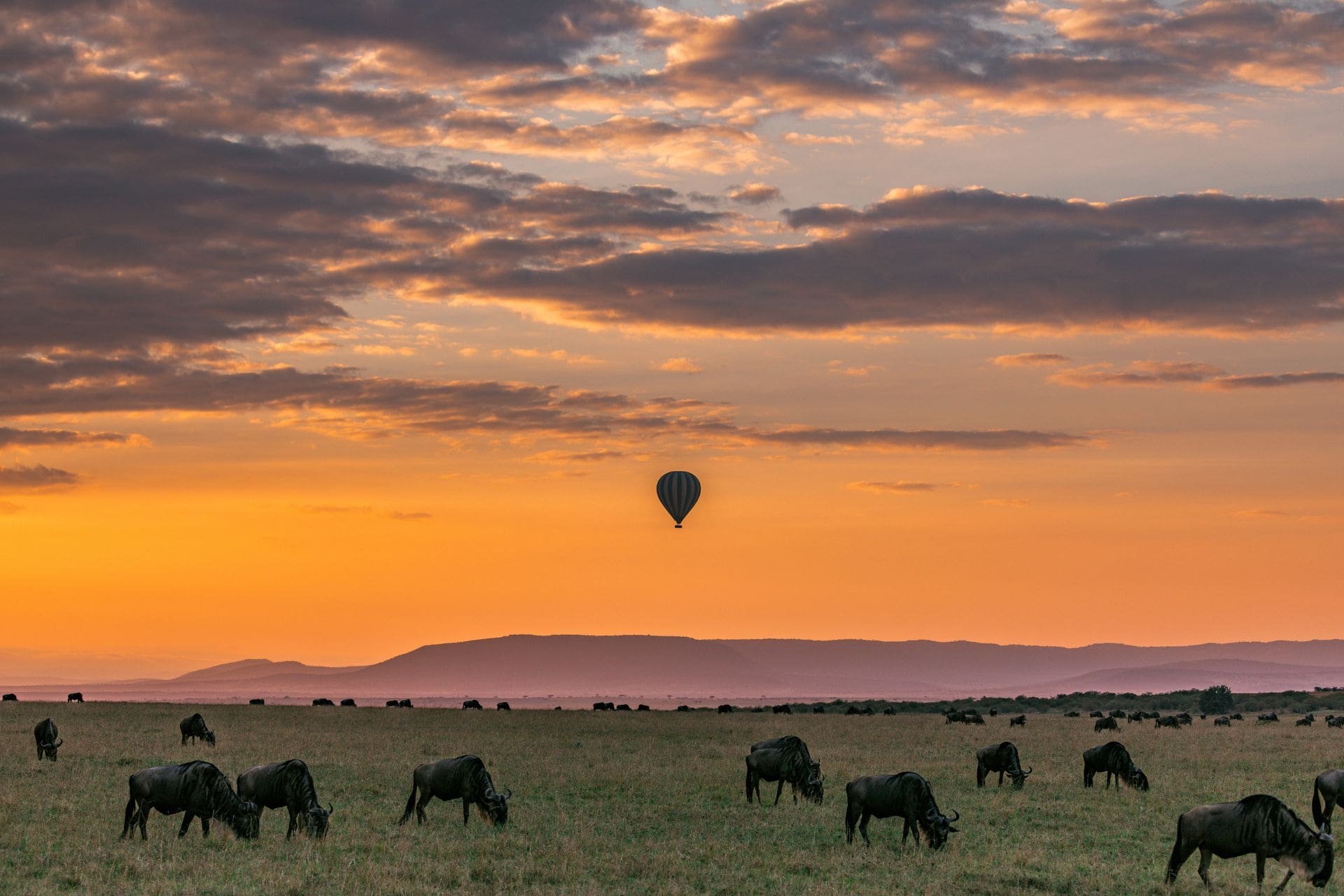 NightsMasaiMaraFly-2 kenya-landscapes-magical-sunset-sunrise-dramatic