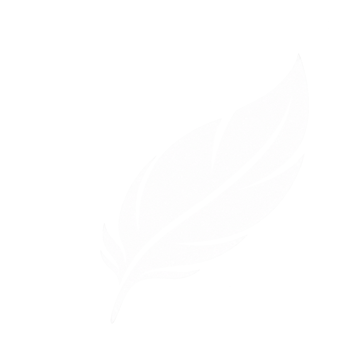 feather icon