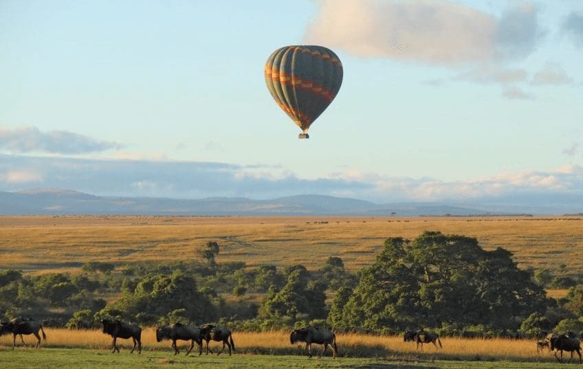 hot_air_balloon_safari