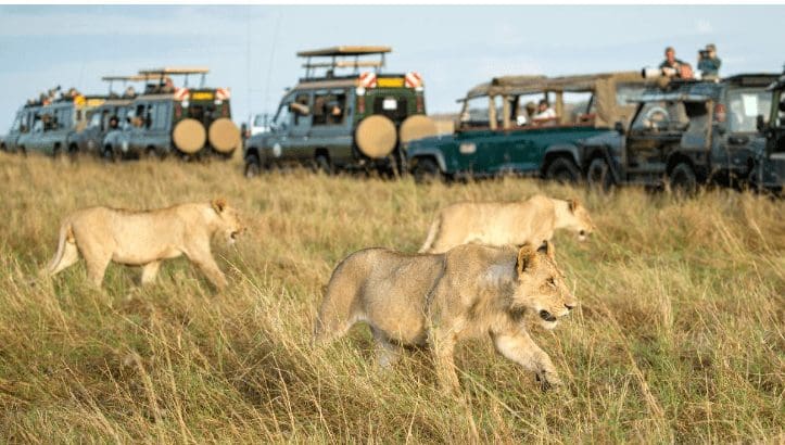 masai_mara