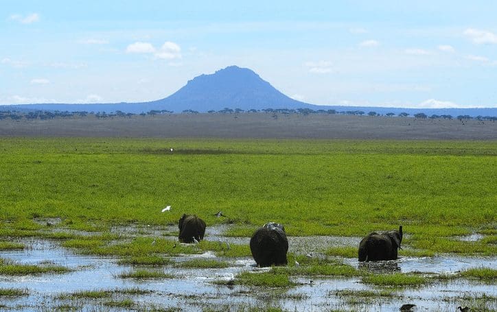 wet_season_masai_mara