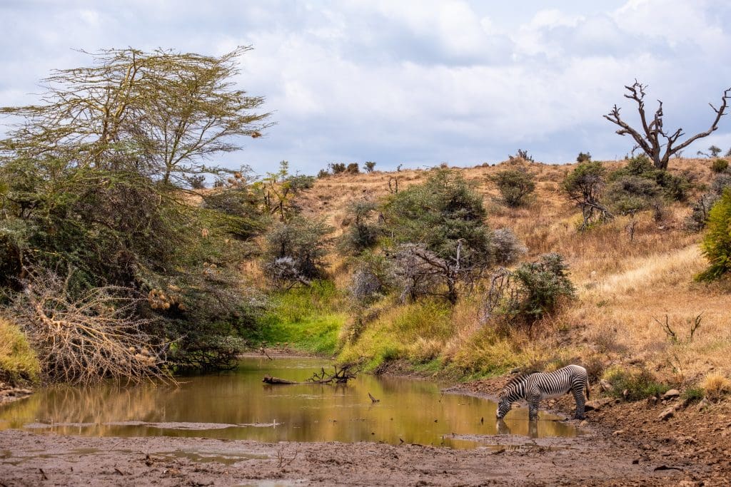 Nairobi national park charges