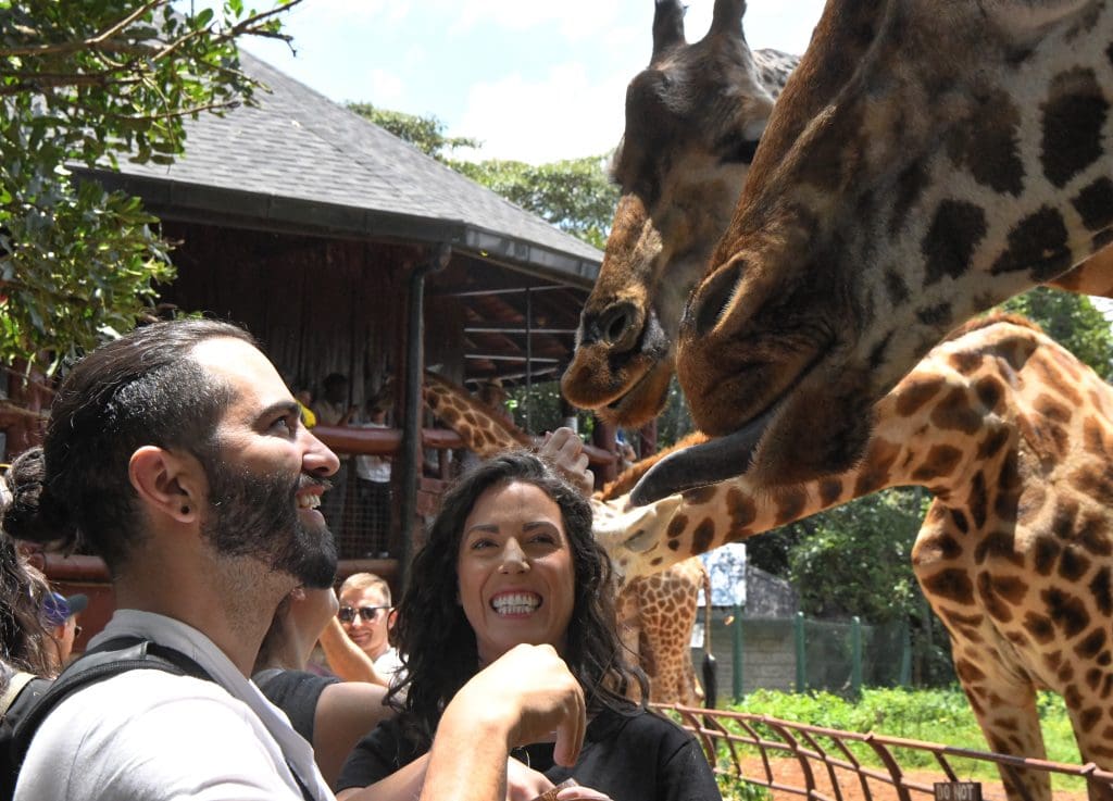Giraffe center