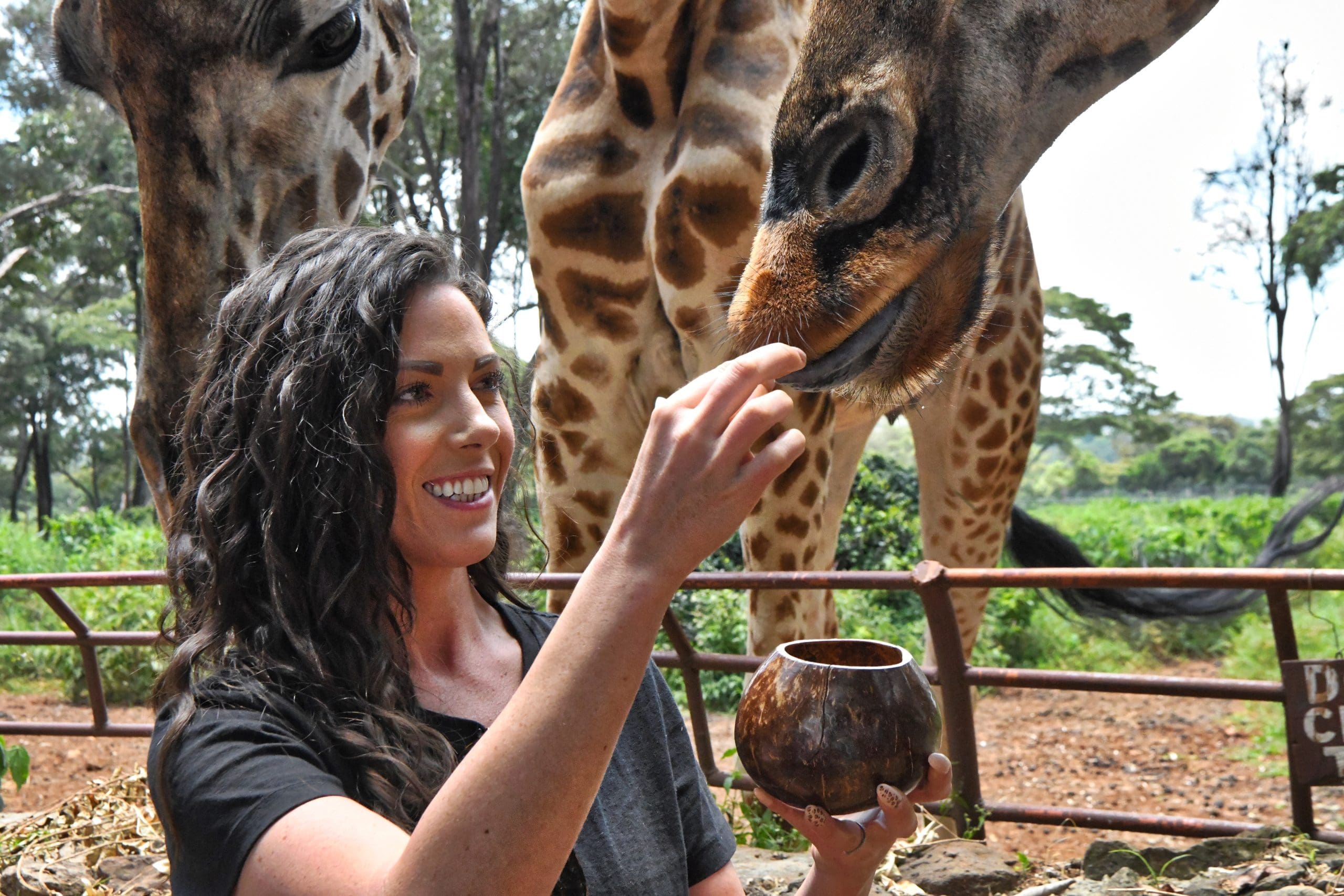 Exploring the Giraffe Center
