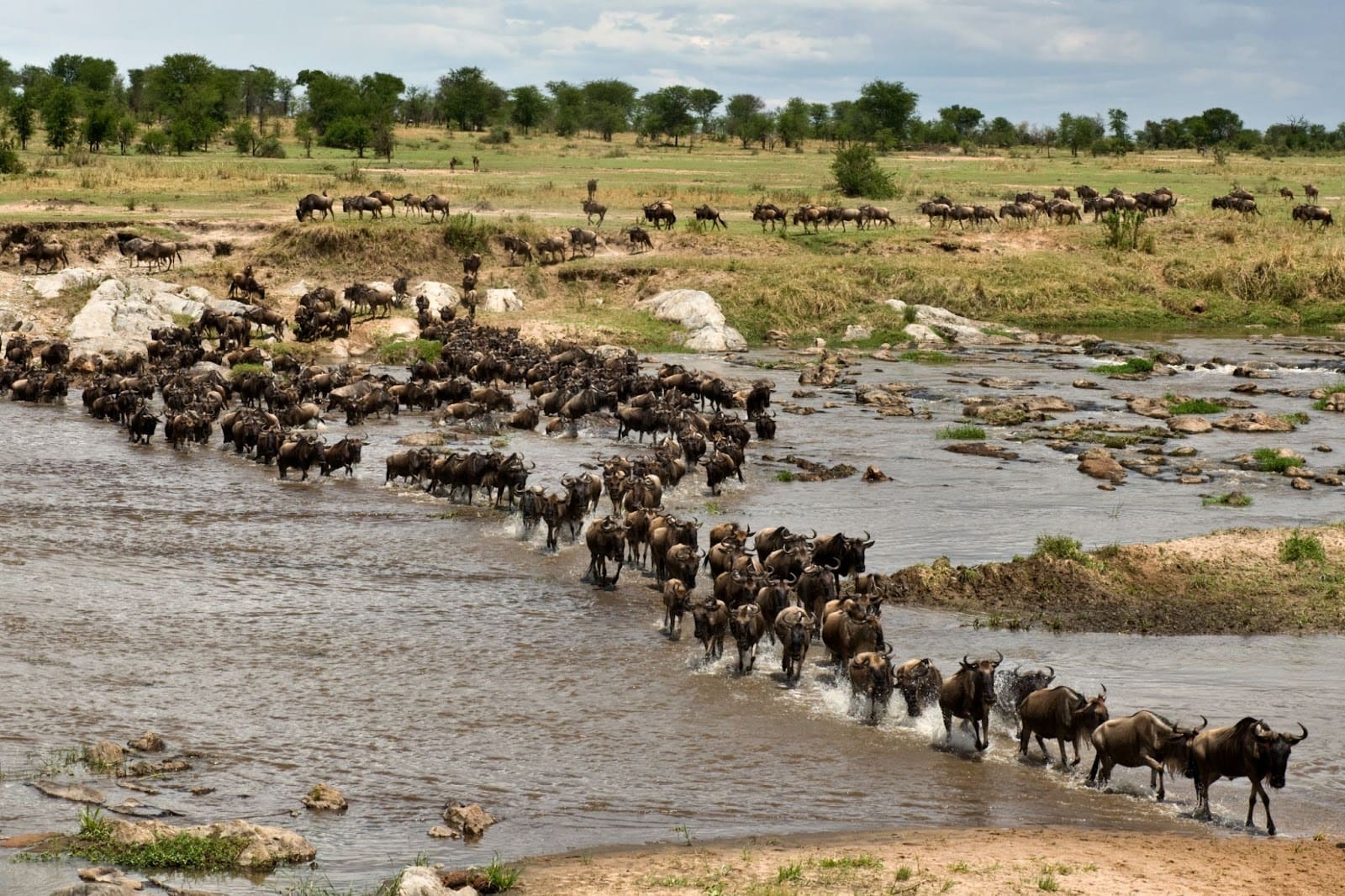 things to do in kenya