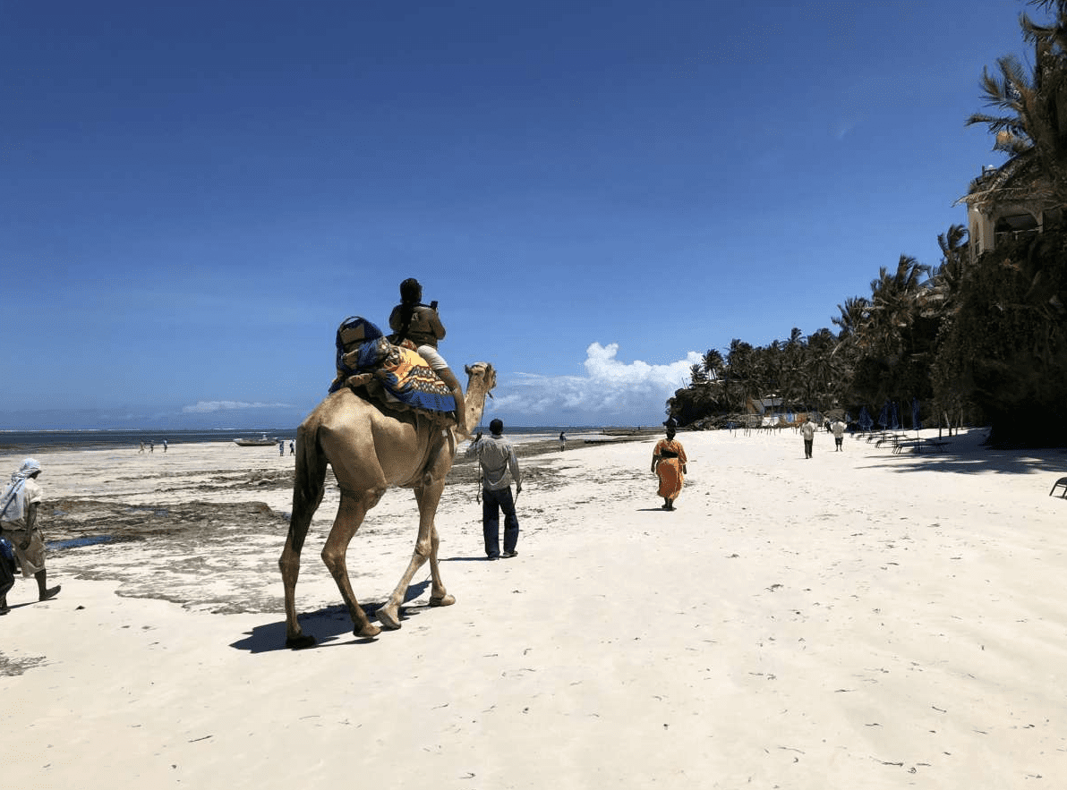kenya beaches
