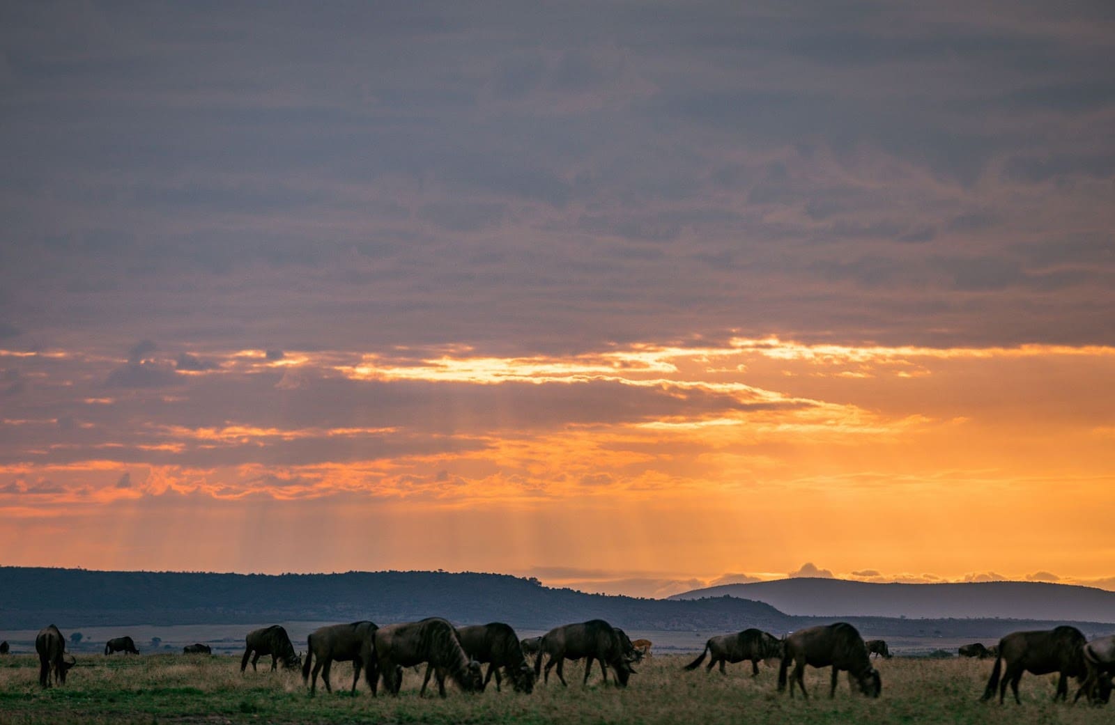 best places to visit in kenya