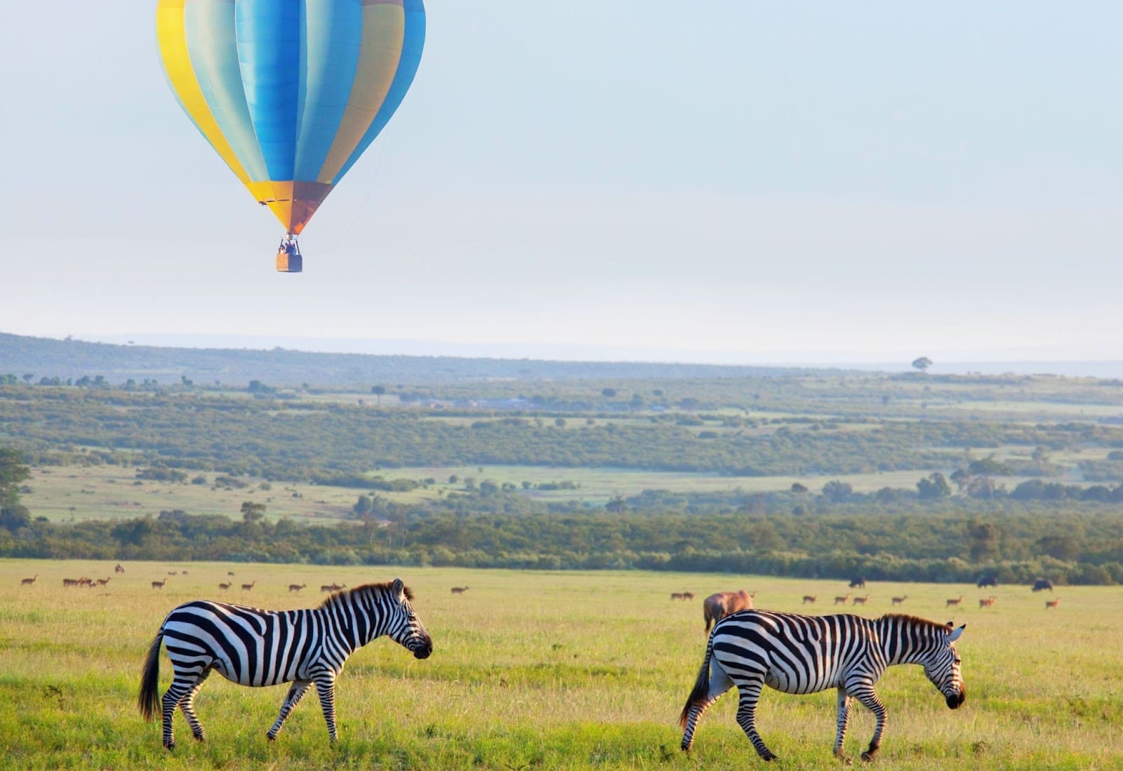 hot air balloon safari