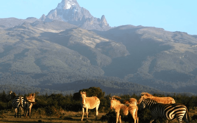 National Parks in Kenya
