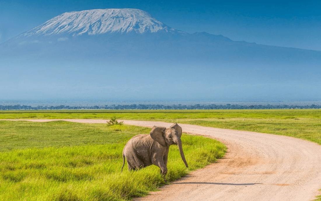 National Parks in Kenya