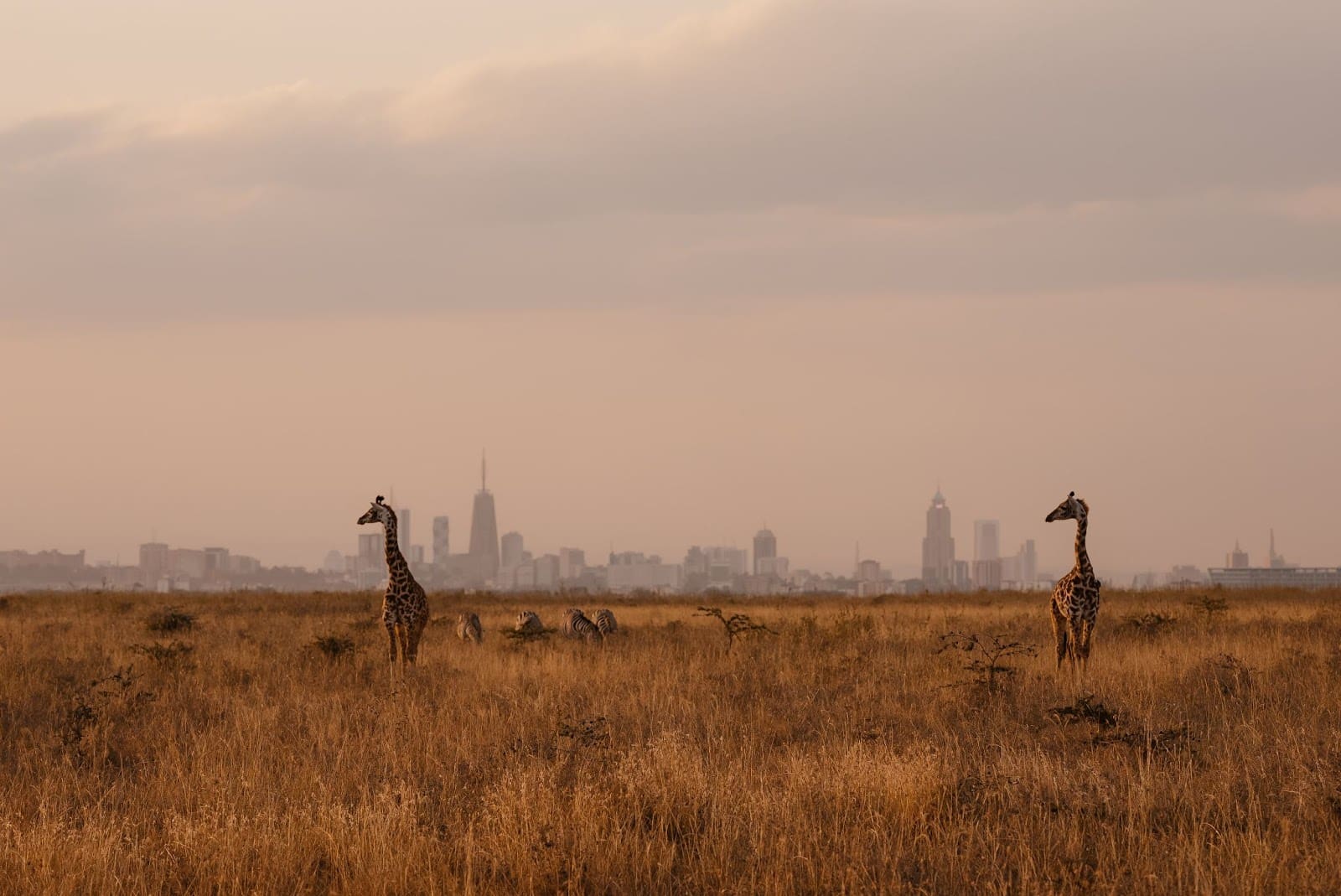 nairobi national park