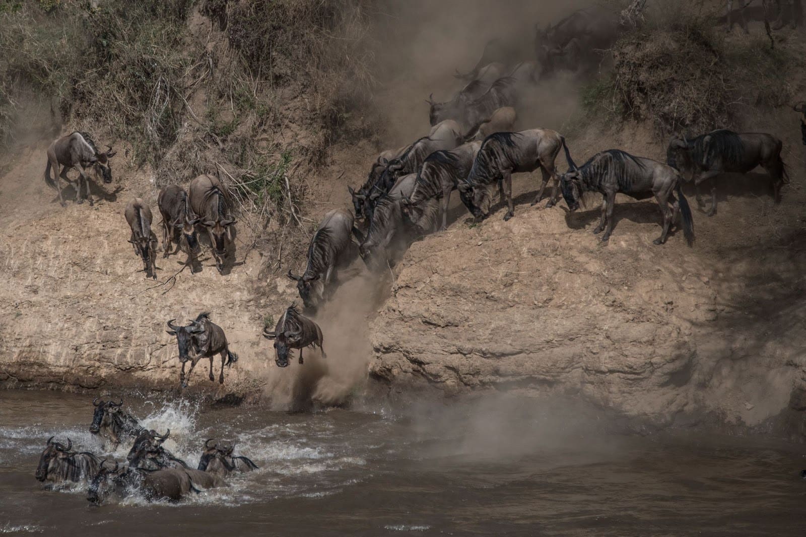 great migration 
