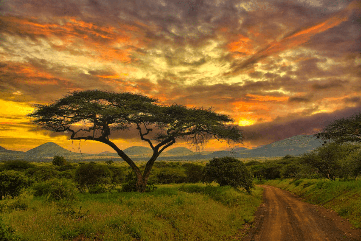 kenya climate
