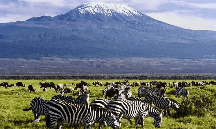 National Parks in Kenya