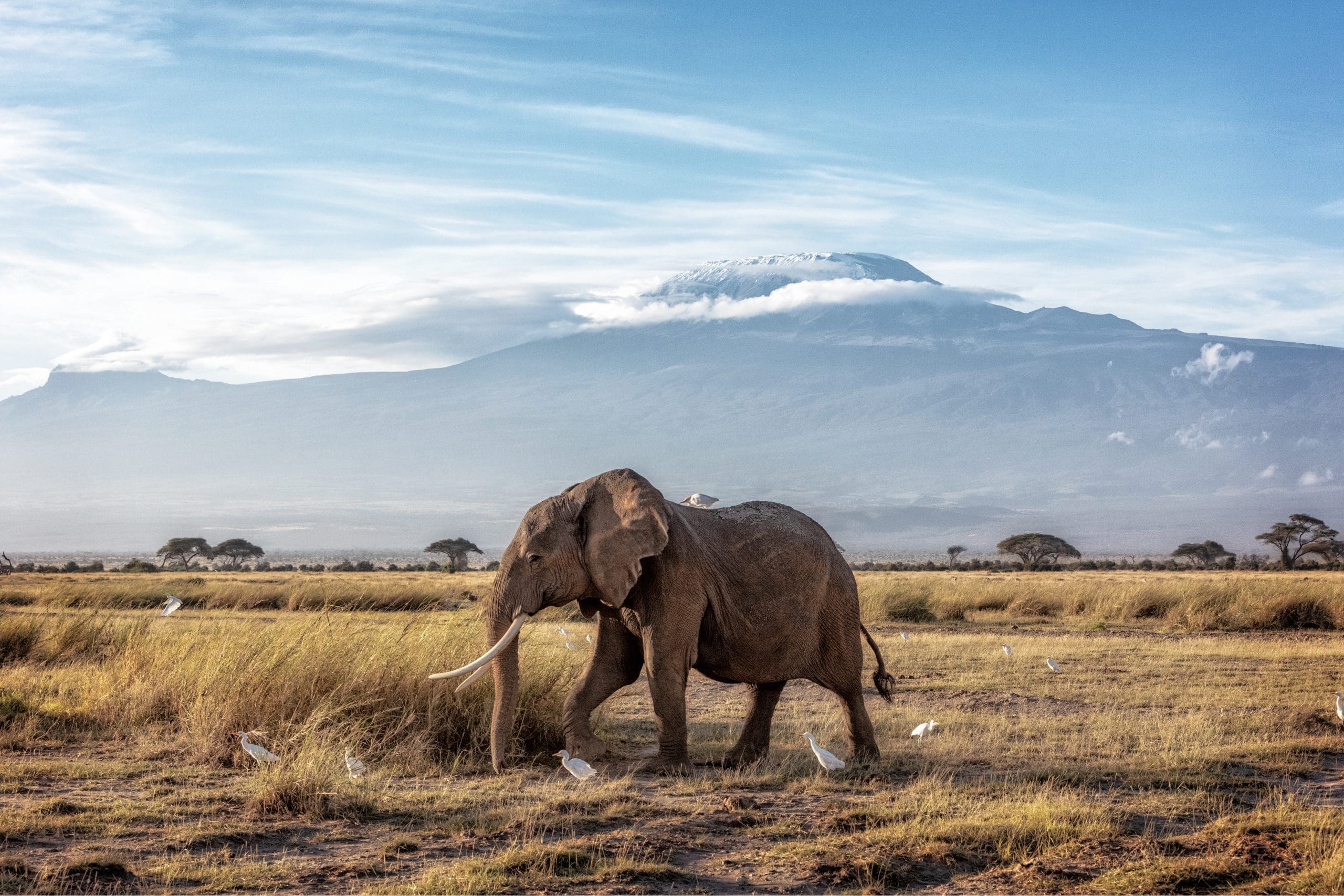amboseli national park