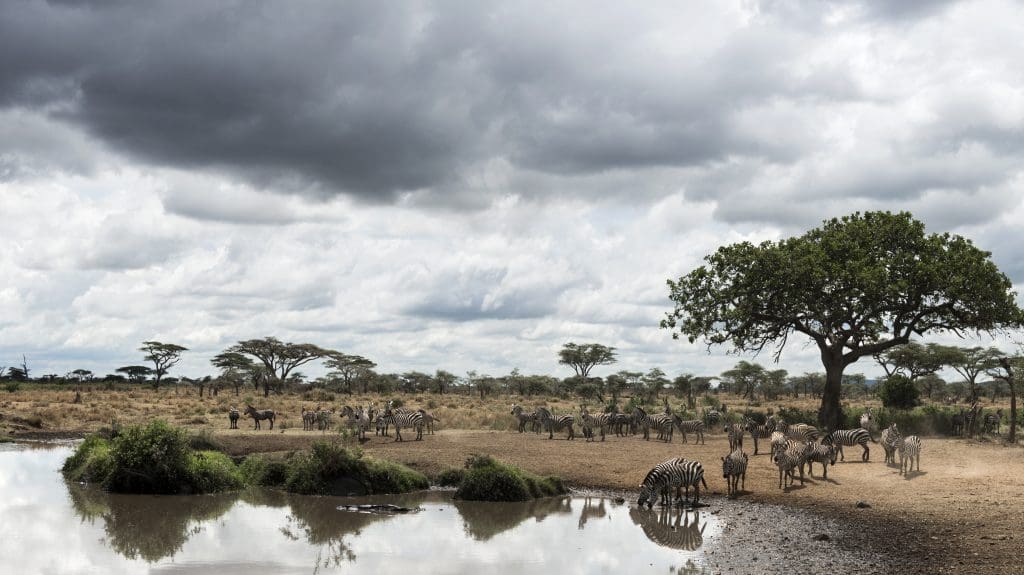 kenya climate