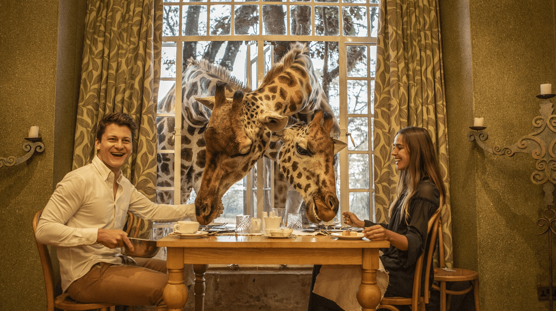 Giraffe manor things to do in nairobi