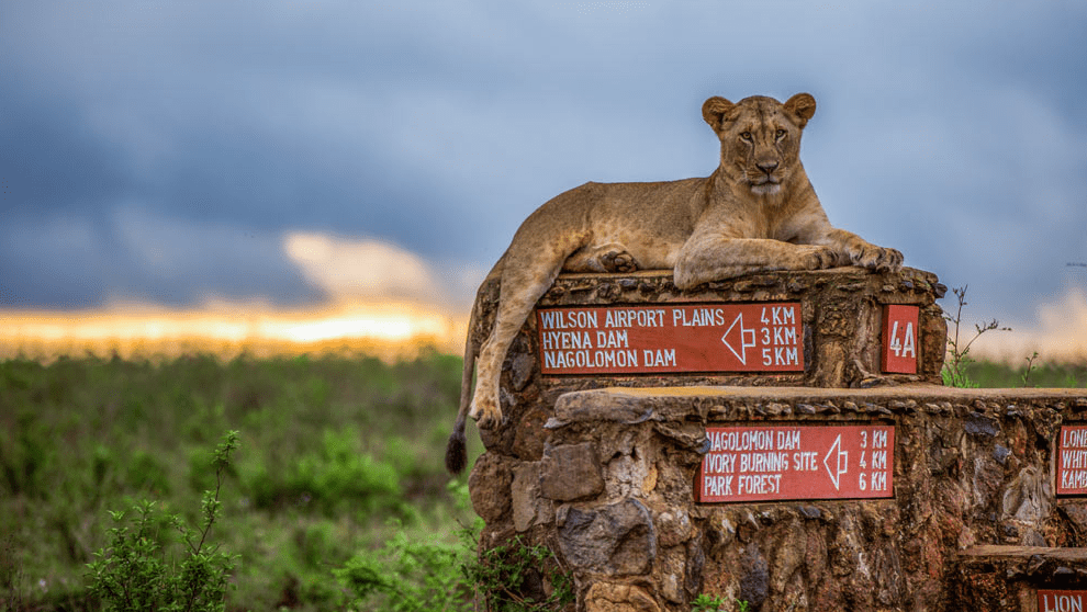 Nairobi national park