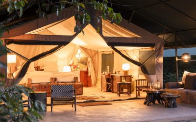 7-Day Kenya Honeymoon Safari Itinerary For Couples