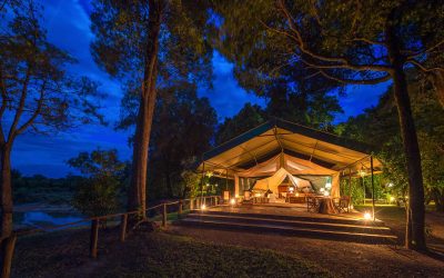 Masai Mara Honeymoon Safari: Romantic Lodges, Costs & Itinerary Ideas